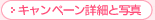 �L�����y�[���ڍ�