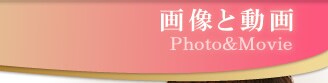 �摜�Ɠ���