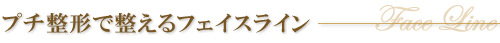 �v�`���`�Ő�����t�F�C�X���C��