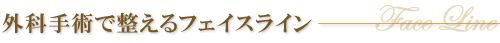 �O�Ȏ�p�Ő�����t�F�C�X���C��