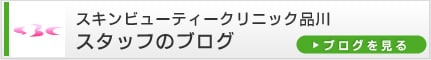 �X�L���r���[�e�B�[�N���j�b�N�i��@�X�^�b�t�̃u���O