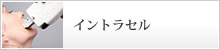 �C���g���Z��