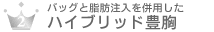 �o�b�O�Ǝ��b�����𕹗p�����n�C�u���b�g�L��