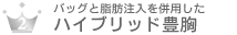 �o�b�O�Ǝ��b�����𕹗p�����n�C�u���b�g�L��