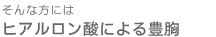 ����ȕ��ɂ̓q�A�������_�ɂ��L��