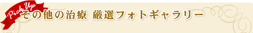 ���̑��̎��� ���I�t�H�g�M�������[