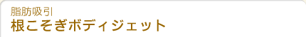���b�z�� ���������{�f�B�W�F�b�g