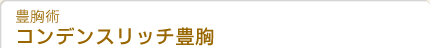 �L���p�@SBC�E���b�`�E�o�X�g