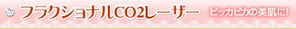 �t���N�V���i��CO2���[�U�[