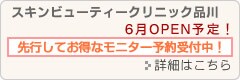�X�L���r���[�e�B�[�N���j�b�N�i��