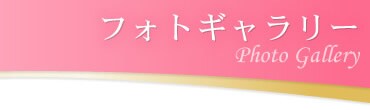フォトギャラリー