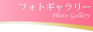 �t�H�g�M�������[