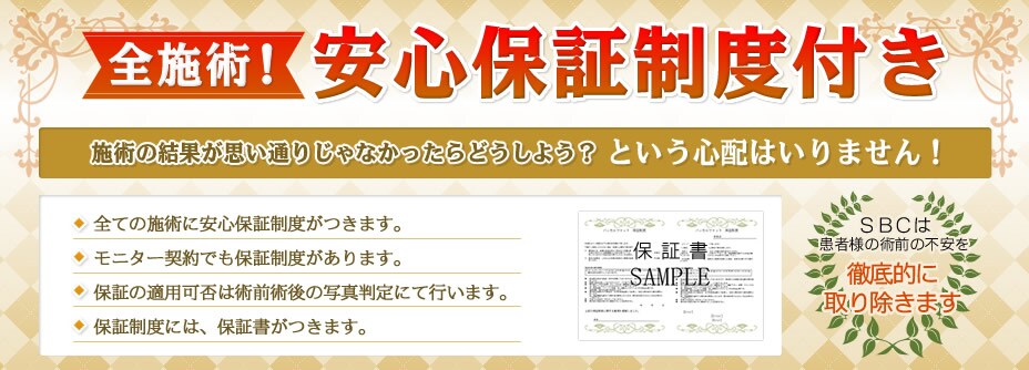 �S�{�p���S�ۏᐧ�x����