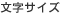 �����T�C�Y