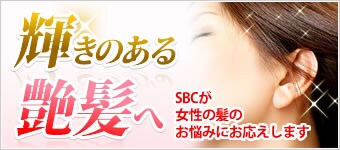 �P���̂��鉐����