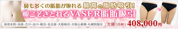������������Vaser�i�x�C�U�[�j���b�z��
