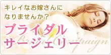 �u���C�_���T�[�W�F���[