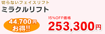 �~���N�����t�g253,300�~