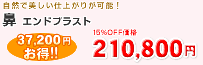 �@�G���h�v���X�g210,800�~