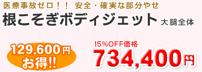 ���������{�f�B�W�F�b�g��ڑS��734,400�~