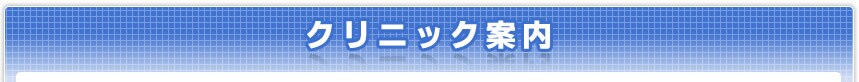 �N���j�b�N�ē�