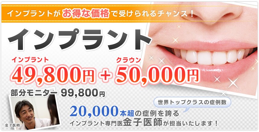 �C���v�����g�������j�^�[49,800�~