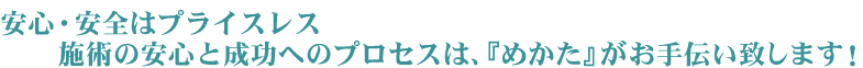 ���S�E���S�̓v���C�X���X�{�p�̈��S�Ɛ����ւ̃v���Z�X�́A�w�߂����x������`���v���܂��I
