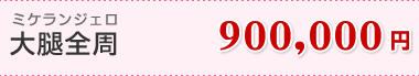 �~�P�����W�F�� ��ڑS�� 900,000�~