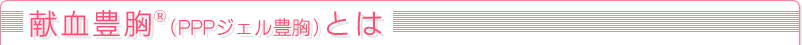 �����L���iPPP+PRP�W�F���L���j�i�_�H�L���j�Ƃ�