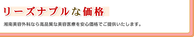 ���[�Y�i�u���ȉ��i