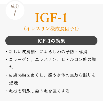 IGF-1の効果