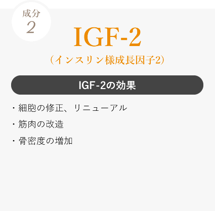 IGF-2の効果