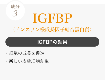 IGFBPの効果