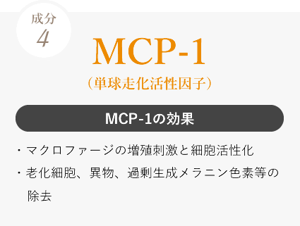 MCP-1の効果