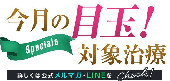 今月の目玉