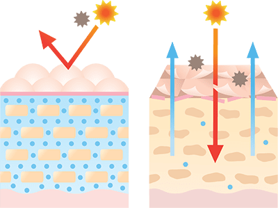 乾燥によるバリア機能の低下
