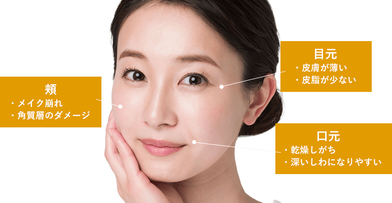 ちりめんじわできやすい場所って？