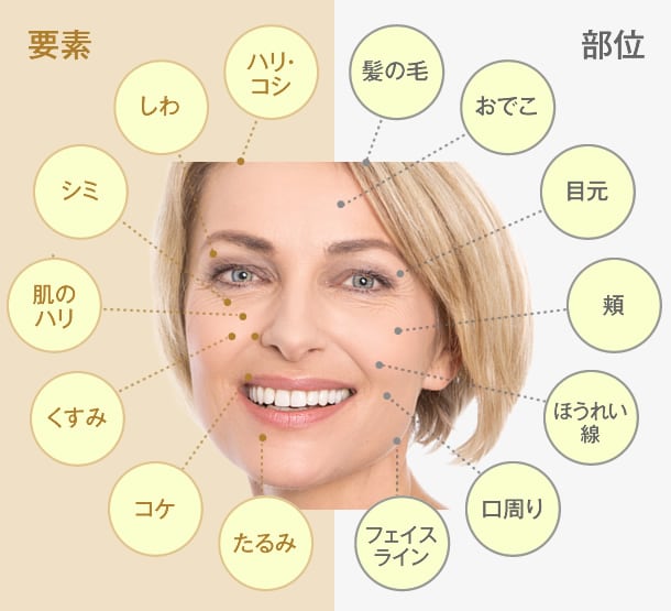 老け顔に見られる要素と部位