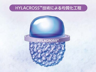 HYLACROSS技術による均質化工程