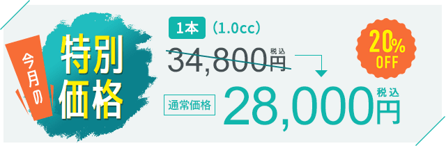 今月の特別価格