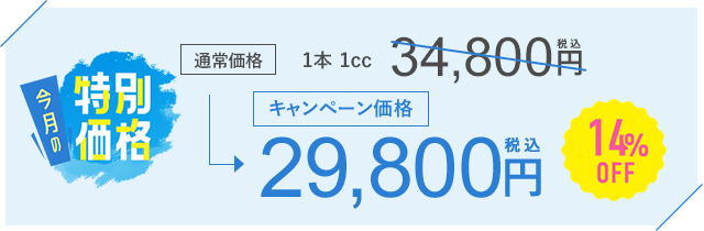 今月のキャンペーン