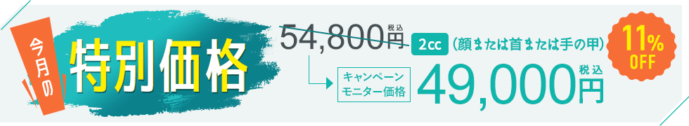 今月の特別価格