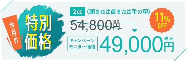 今月の特別価格