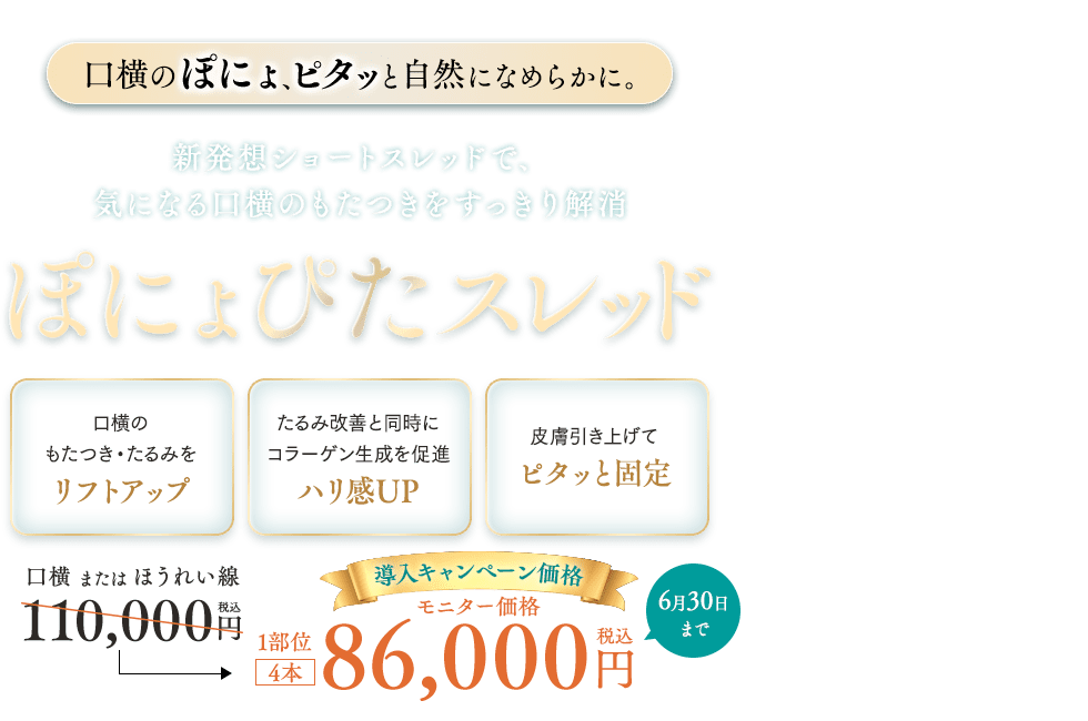 ぽにょぴたスレッド
