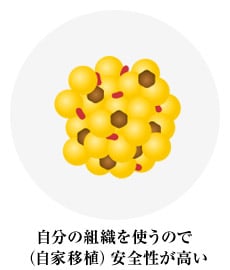 特徴02