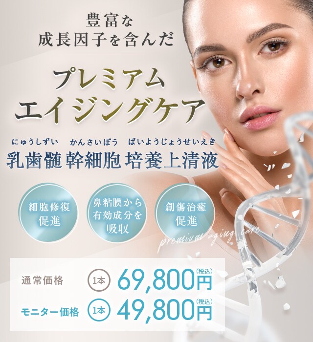 SBCハイフシャワー
