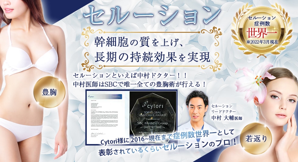 セルーション