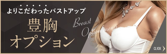 豊胸オプション