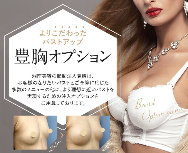 バスト 美容器 【バストウィッシュ 】バストアップ 豊胸 育乳