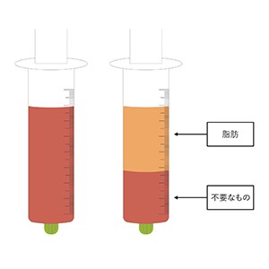 脂肪を加工 イメージ